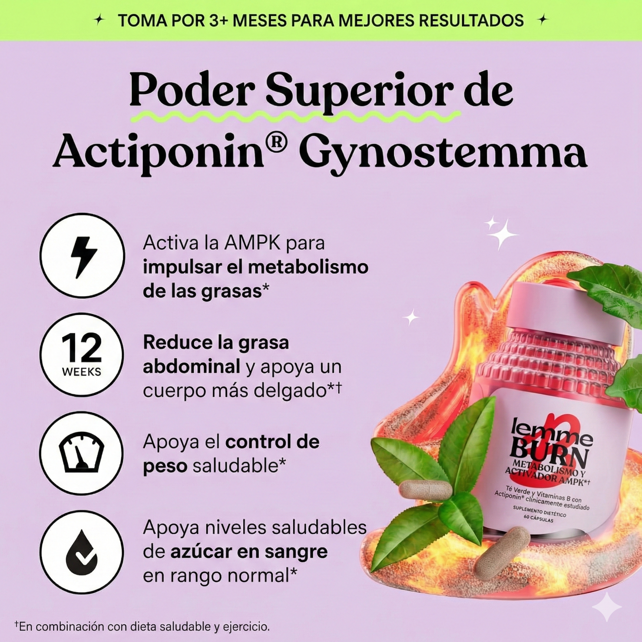 QUEMADOR DE GRASA - LEMME BURN